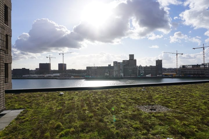huis huren in de lier
