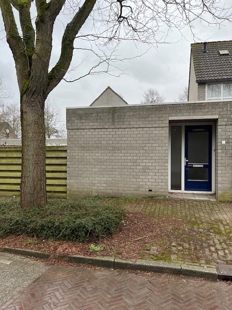 huis huren in woningen te huur in lauwerzijl ledeacker