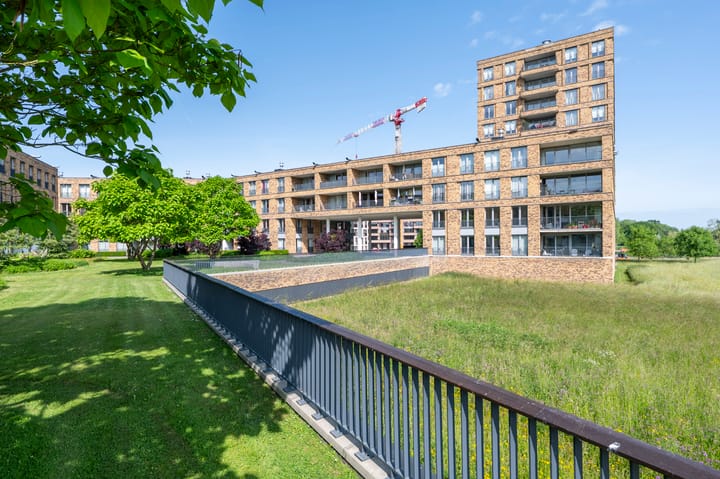 huurwoning maasdam