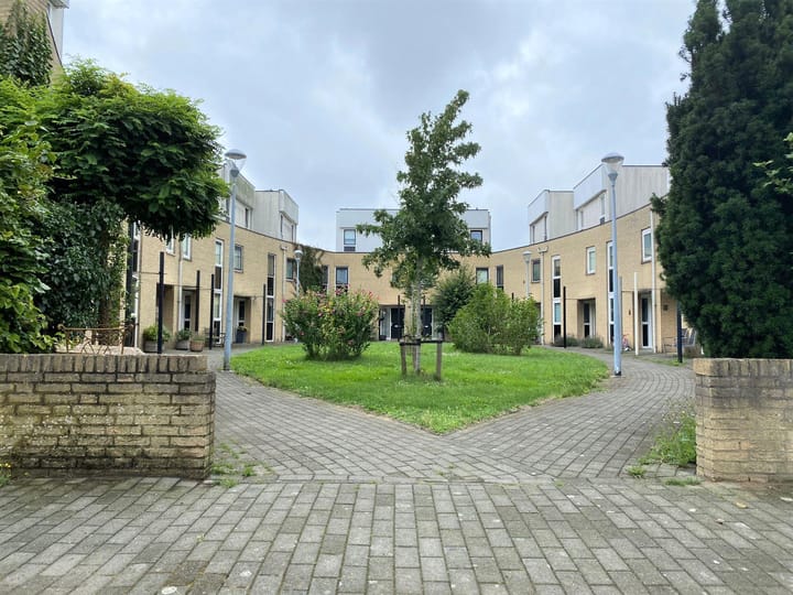 274 17.jpg