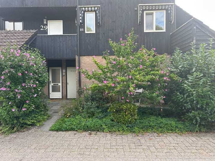 huurwoning vinden bellingwolde