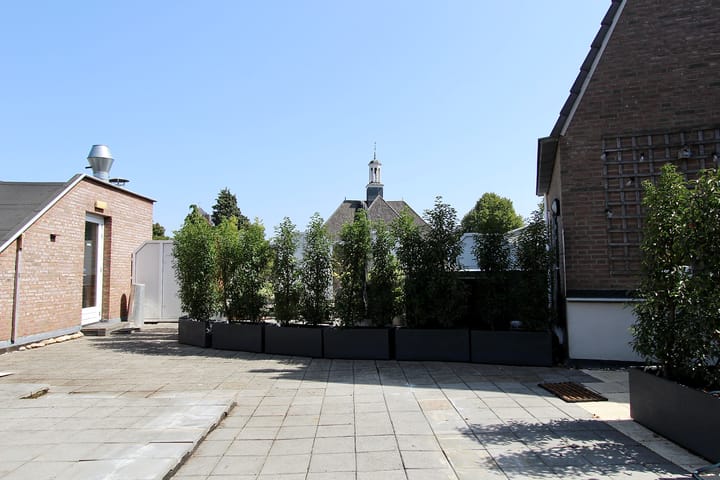 huurwoning cothen