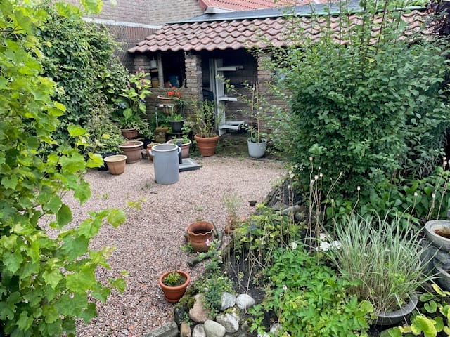 huurwoning vinden zeegse