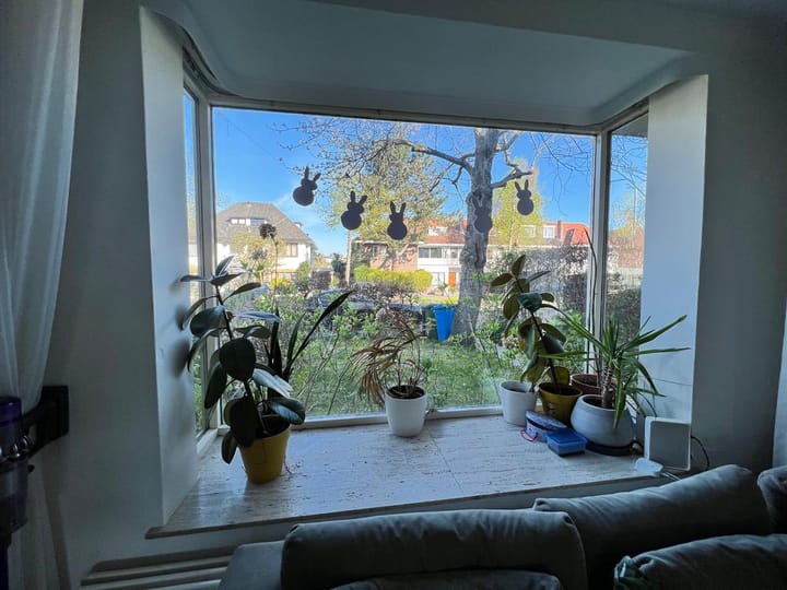 huurwoning wijk aan zee