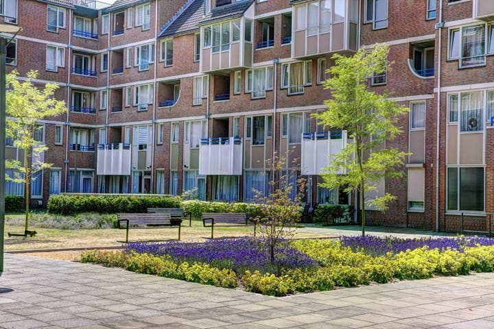 huis huren in armweide