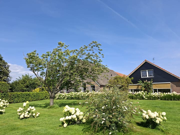 huurwoning anna paulowna