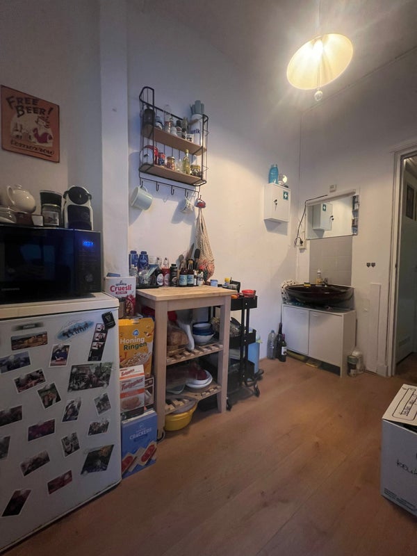 expat housing in provenierswijk