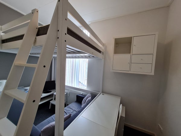 huurwoningen haler
