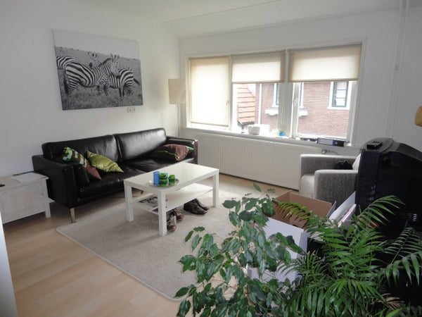 huurwoningen blitterswijck