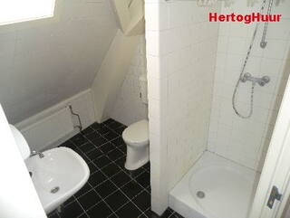 huurwoningen hieslum