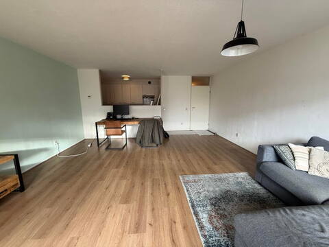 huurwoningen hollandscheveld