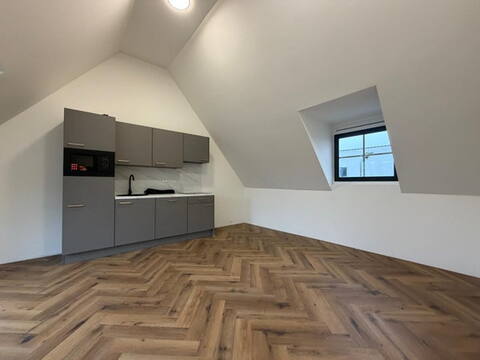 huurwoningen tytsjerk