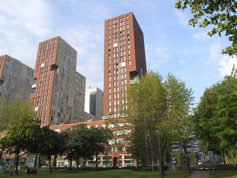 464 7.jpg