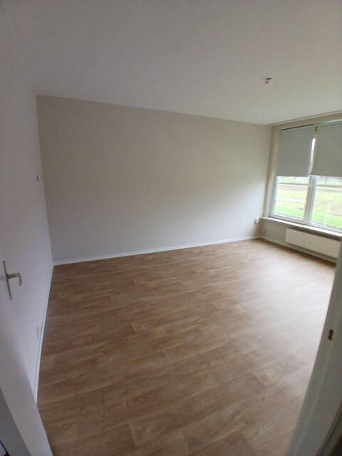 6916e41784725a141a8803632c8dff07.jpg