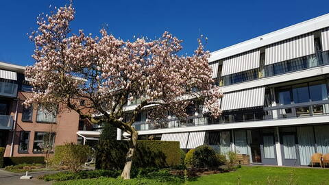 huis huren in snel huren in roordahuizum