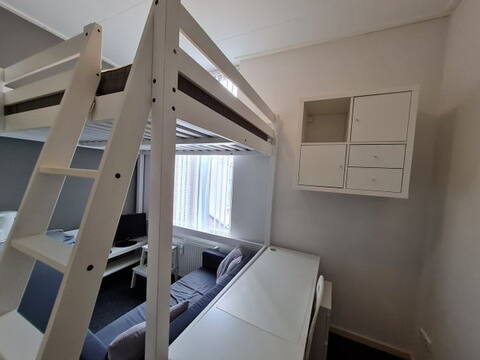 huurwoningen haler